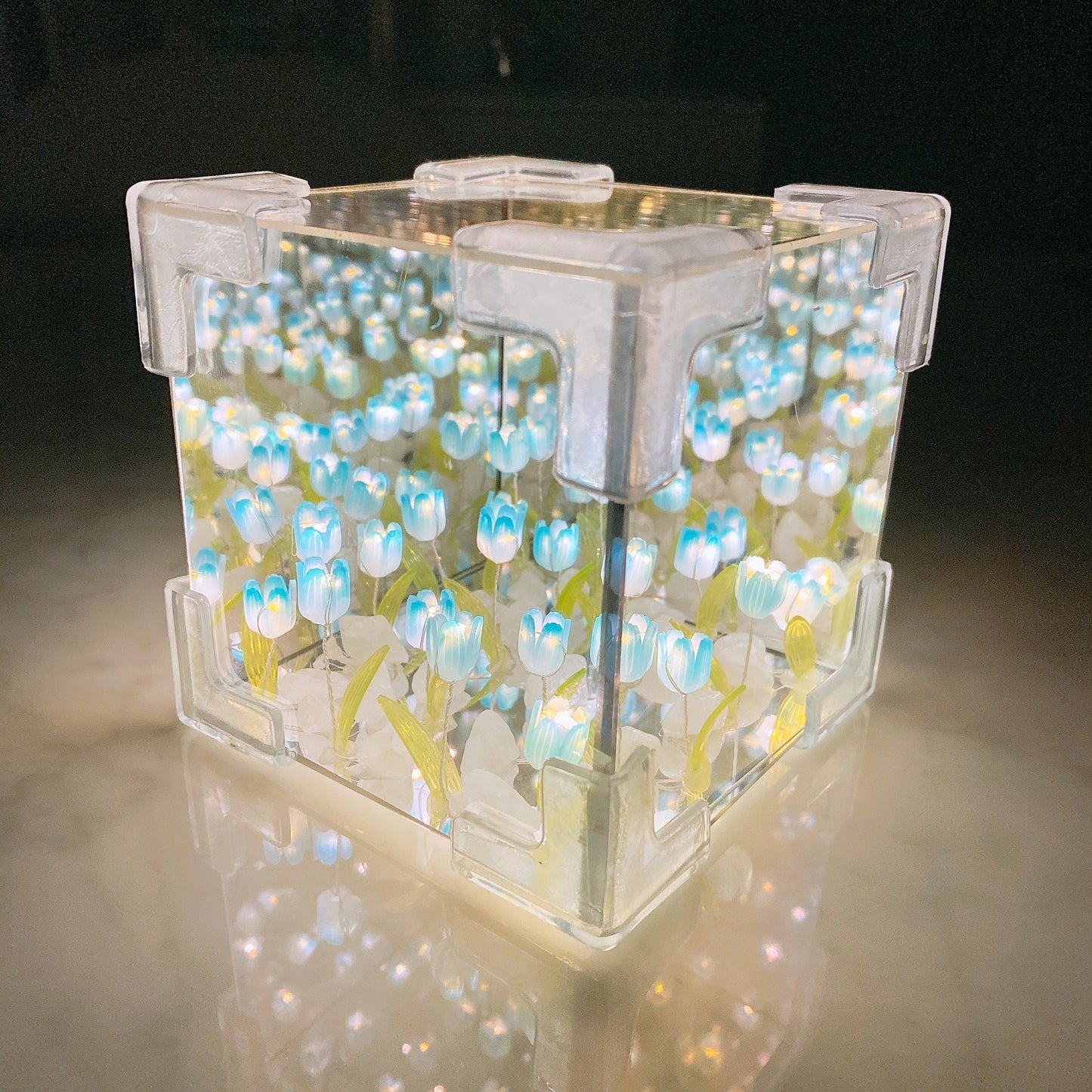 Infinite Tulip Box